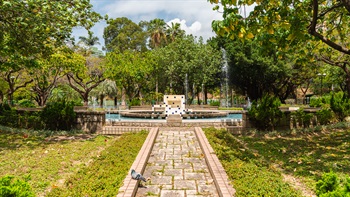 Water feature in the midst of greenery produces calming sound of trickling water and creates a relaxing ambience.